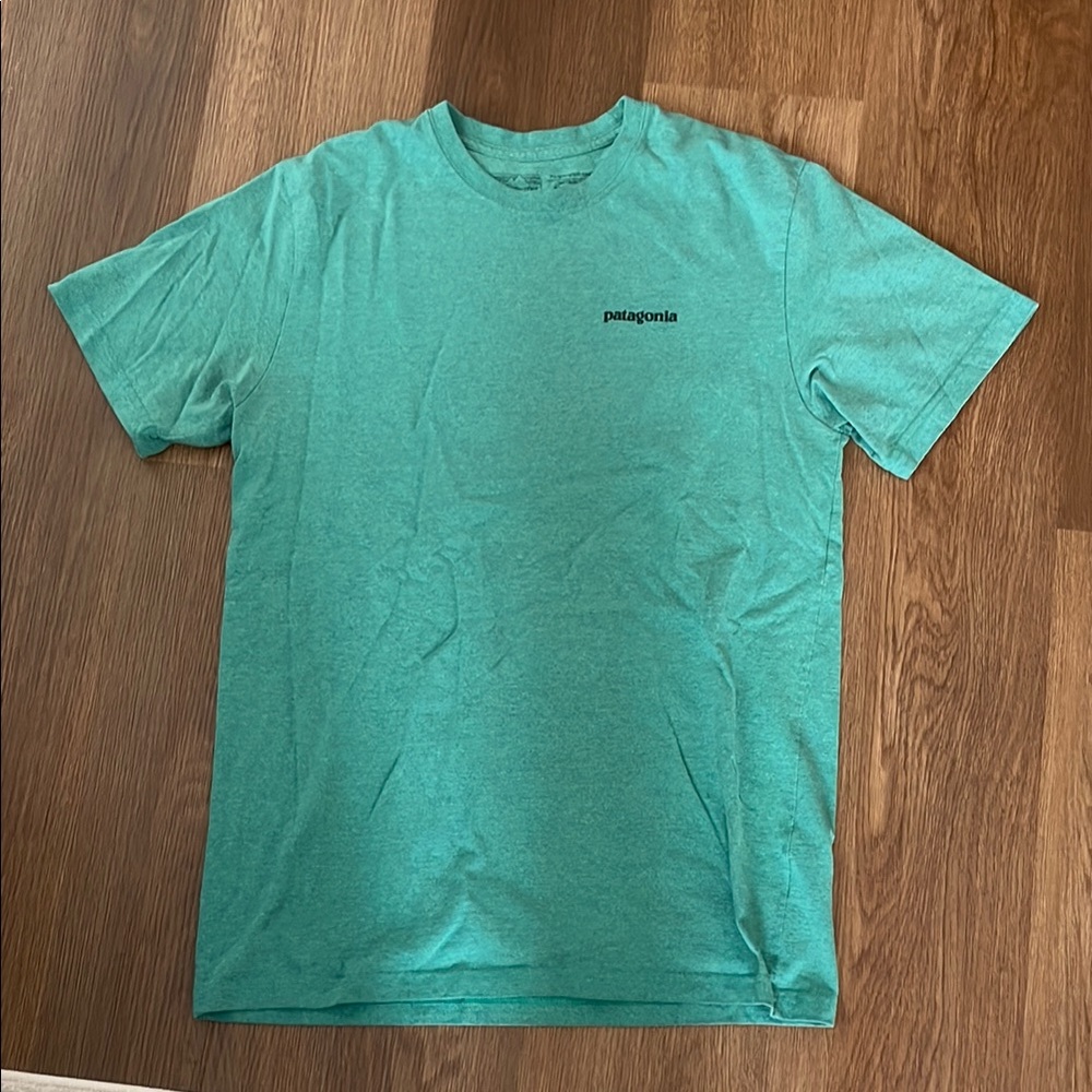 Patagonia Green Short Sleeve Tee